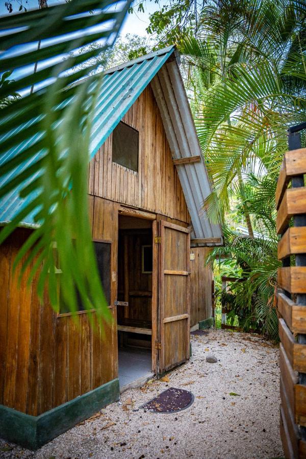 Pura Vida Mini Hostel Santa Teresa Playa Santa Teresa  Exterior foto